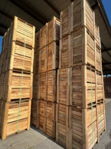 Shock resistant export wooden box with internal supports for fragile goods from Saudi Arabia